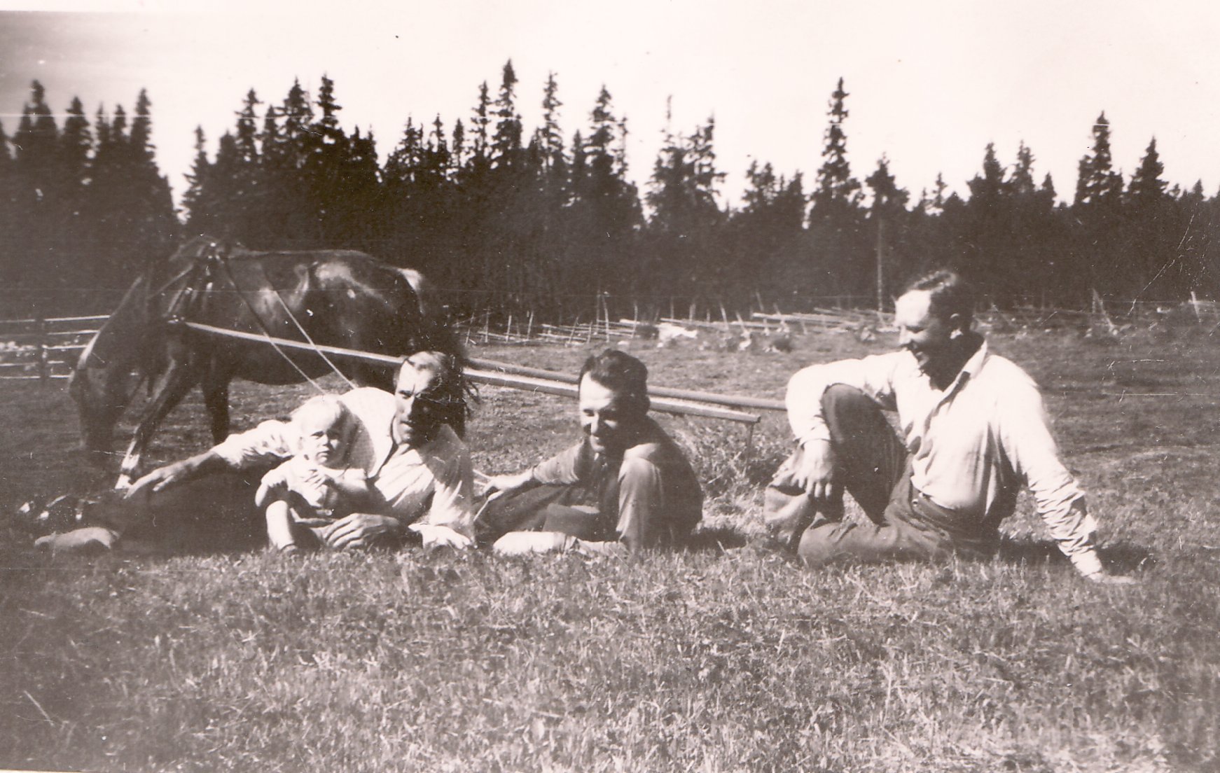 Slåtter 1943, Rölle,Nisse Jan okänd och morbror Erik