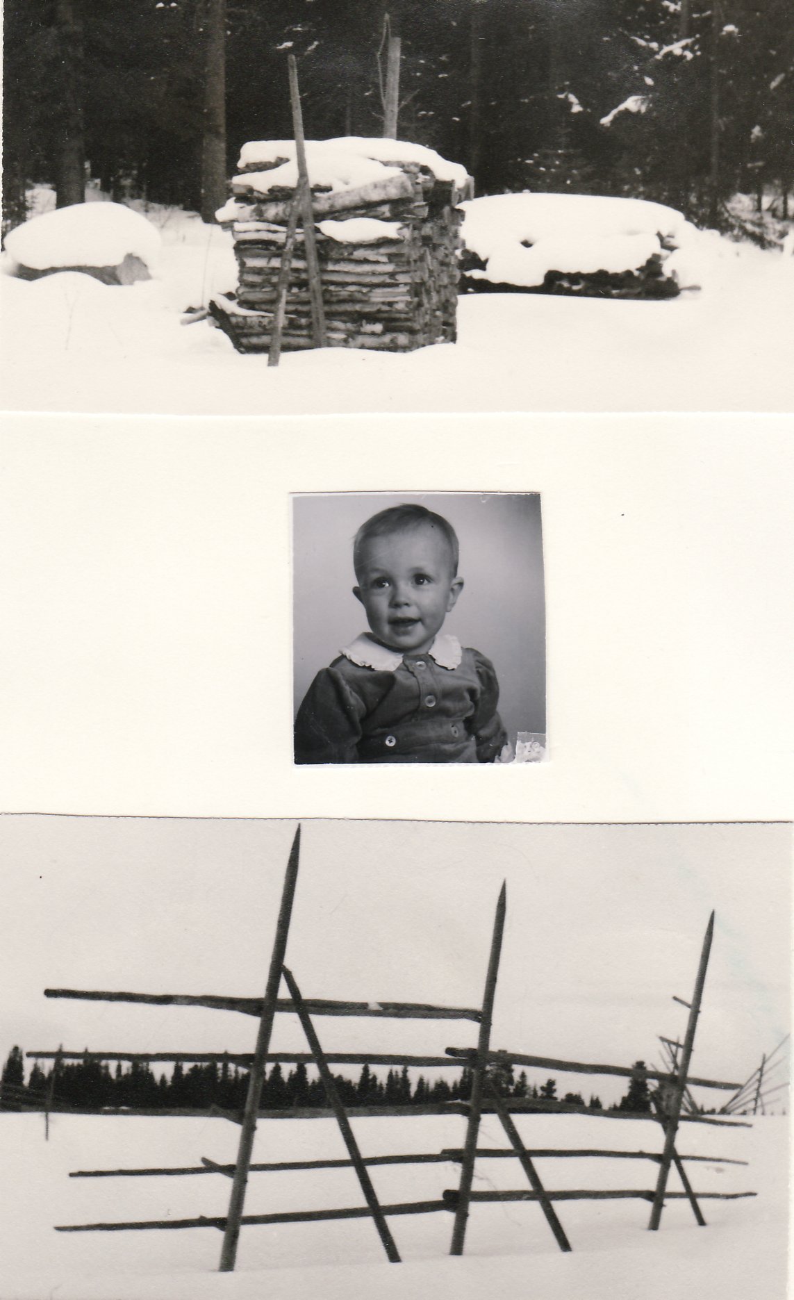 typisk kastvedskubik vid stubbarna, Jan år 1942, typisk höhässja - övervintrat hässjerö