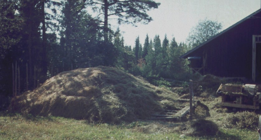 utetork o halmfläkt 1969