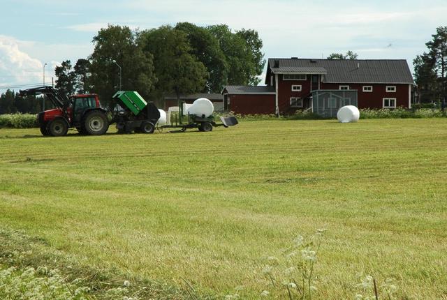 Höskörd år 2005 på Bringåsen 3