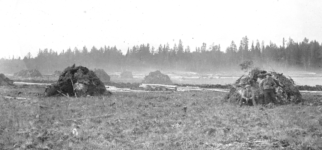 Okänd nyodling i Kyrkås 1905