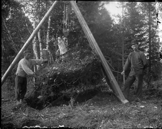 Backman t h och drängen nyodlar 1905