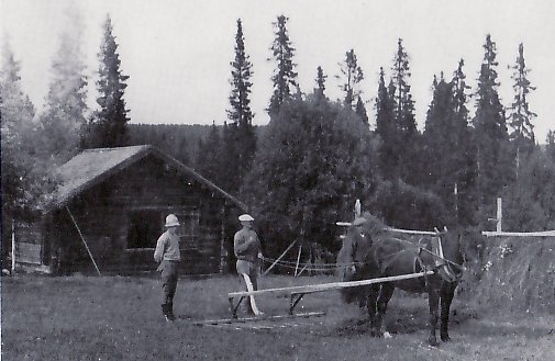 Slåtter fram till 1950-tal