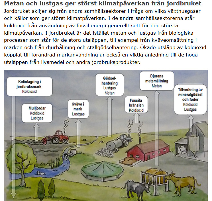 Falsk klimatpåverkan