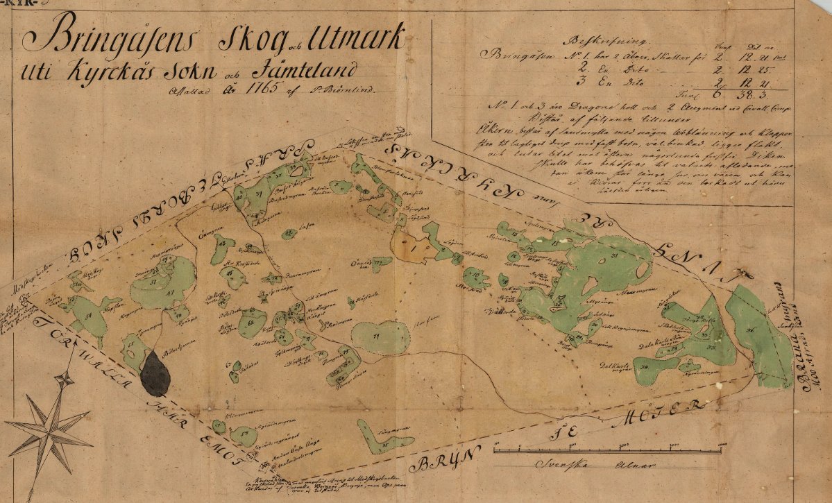 Bringåsen 1765