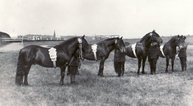 Troligen Stockholm 1930